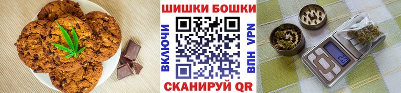 Купить закладки  Томилино  Canna-Cookies марихуана 