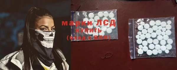 PSILOCYBIN Майский