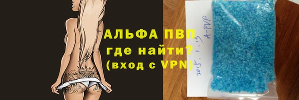 PSILOCYBIN Майский