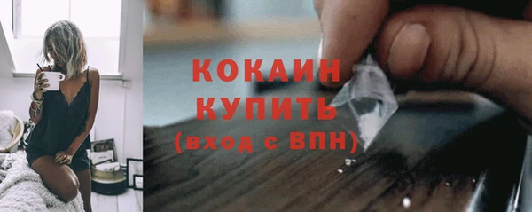 PSILOCYBIN Майский