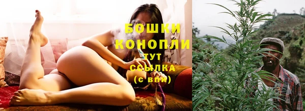 PSILOCYBIN Майский
