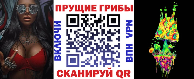 Купить закладки  Томилино  Псилоцибиновые грибы мицелий 